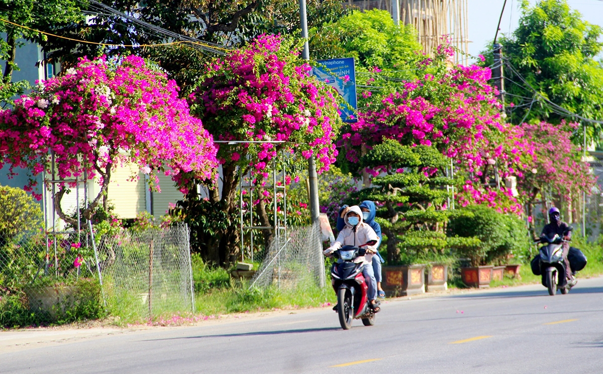 Thành công từ nông nghiệp gắn với du lịch là điểm tựa cho nông thôn mới ở Nghệ An.