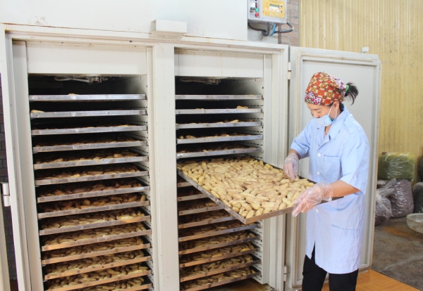 HTX Hoành Huynh đầu tư máy móc để chế biến nông sản.