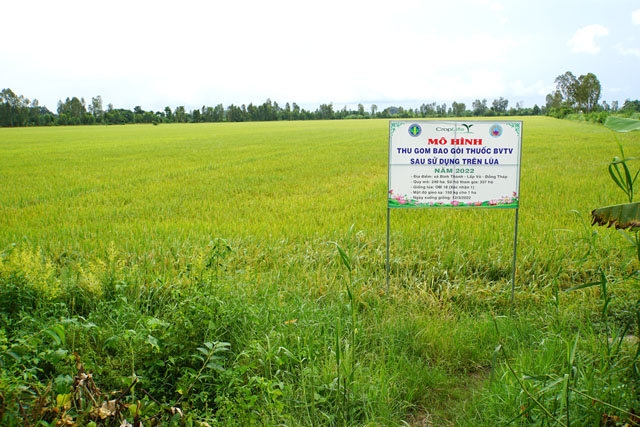 Mô hình sản xuất lúa giảm giá thành có liên kết tiêu thụ, kết hợp với thu gom vỏ thuốc bảo vệ thực vật sau sử dụng trên lúa tại HTX Dịch vụ nông nghiệp Bình Thành.