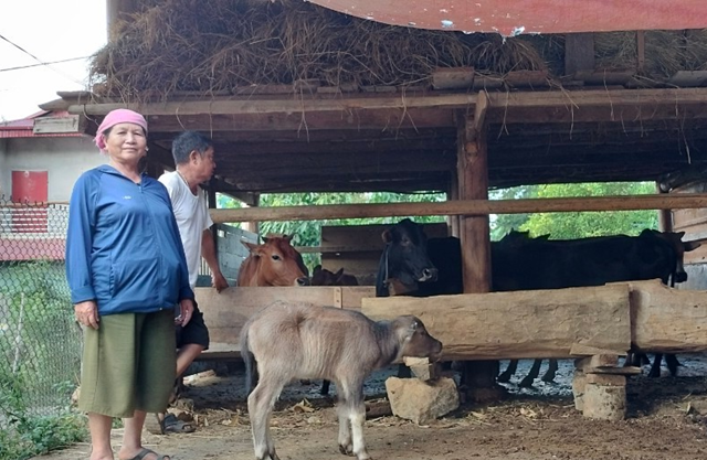 Vốn tín dụng chính sách đã thực hiện được mục tiêu giảm nghèo bền vững.