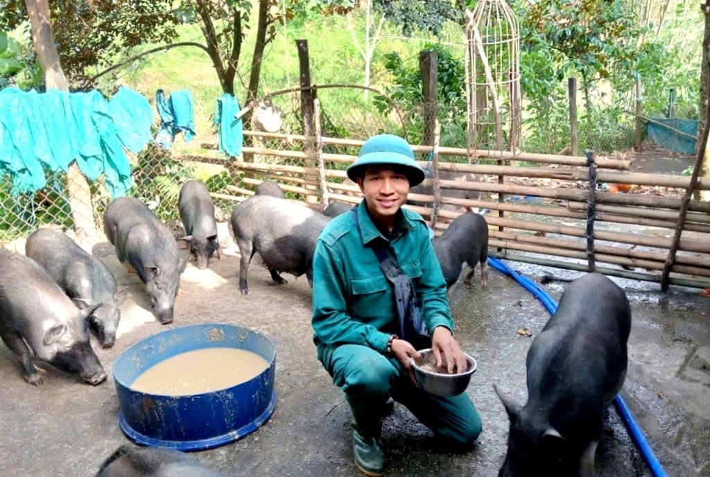 Mô hình chăn nuôi heo cỏ sinh học ở địa bàn Kà Dăng &lpar;cũ&rpar; đang cho thấy tính hiệu quả giúp cải thiện sinh kế cho đồng bào dân tộc thiểu số.