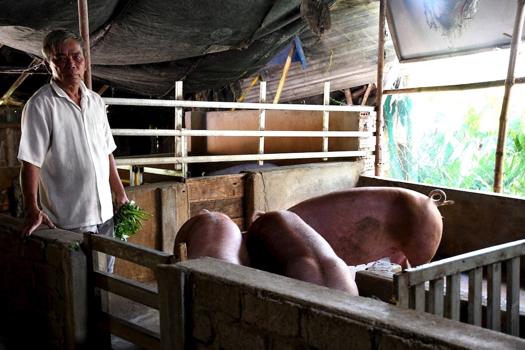 Người dân ở xã Hướng Hiệp &lpar;mới&rpar; đặt niềm tin tăng thêm thu nhập nhờ liên kết chăn nuôi cùng có HTX Nông nghiệp Hướng Hiệp.