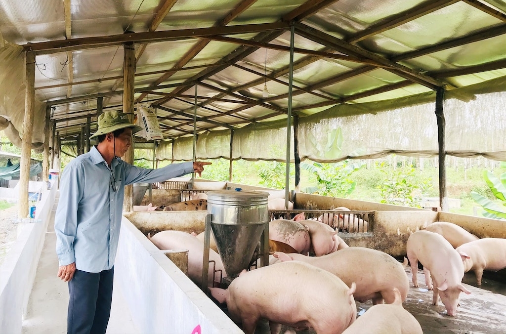 Với triển vọng phát triển kinh tế hợp tác sẽ tạo thêm động lực vươn lên cho người dân ở xã Hướng Hiệp &lpar;mới&rpar; sau sáp nhập.