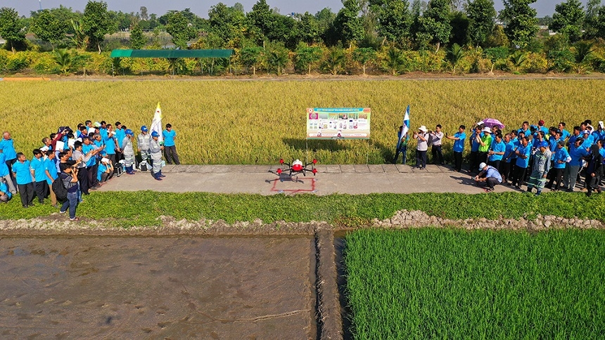 Theo các chuyên gia, Việt Nam là quốc gia có lợi thế về nguồn phụ phẩm nông nghiệp lớn.