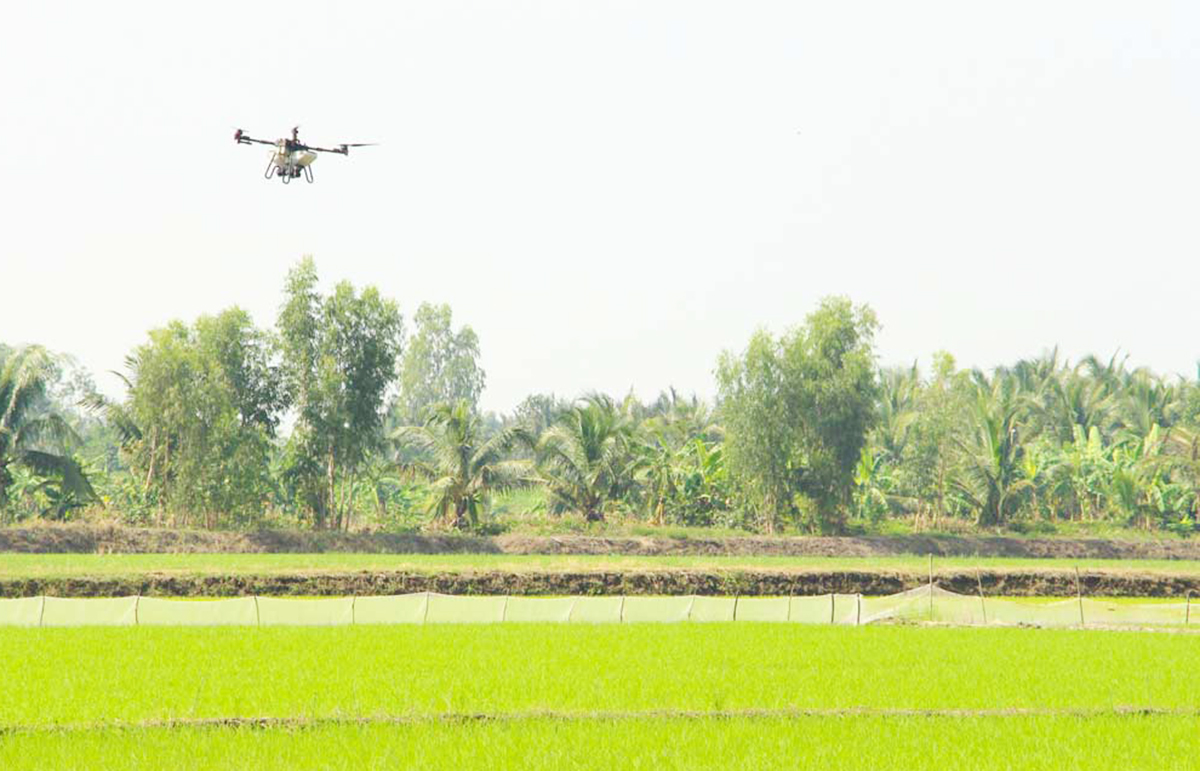 Những cánh đồng thông minh đang được nhân rộng trong quá trình xây dựng nông thôn mới ở Vĩnh Long &lpar;Ảnh: VLO&rpar;.