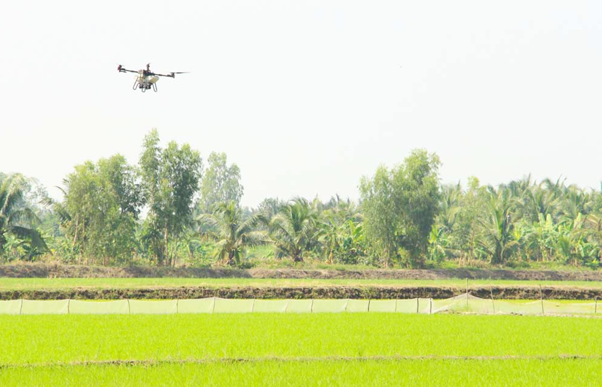 Những cánh đồng thông minh đang được nhân rộng trong quá trình xây dựng nông thôn mới ở Vĩnh Long &lpar;Ảnh: VLO&rpar;.