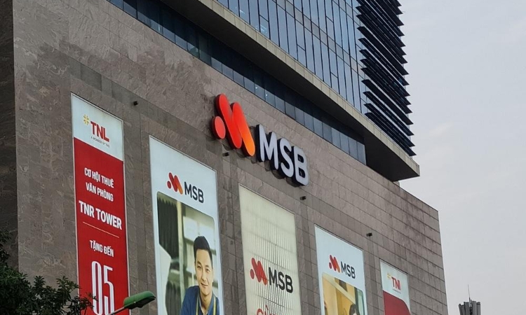 Vishipel không còn là cổ đông của MSB
