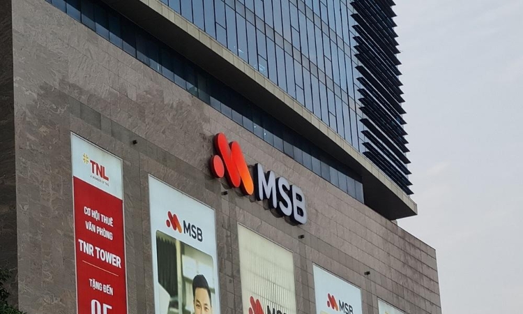 Vishipel không còn là cổ đông của MSB