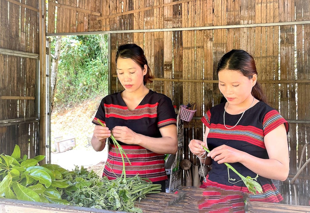 Lúc chưa làm du lịch cộng đồng thì bà con Pa Cô ở thôn A Nôr &lpar;xã A Lưới 1&rpar; chủ yếu là làm nông, bây giờ có khu du lịch rồi thì vừa làm nông, vừa làm du lịch.