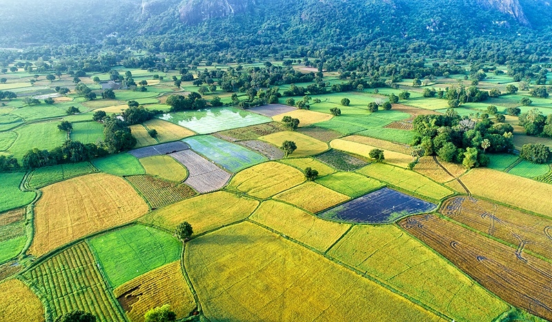 Thủ tướng Chính phủ yêu cầu các Bộ, tỉnh, thành phố, địa phương tập trung rà soát, chuẩn hoá lại các thủ tục hành chính về đất đai đã công bố, bảo đảm phục vụ dân, không để hồ sơ tồn đọng.