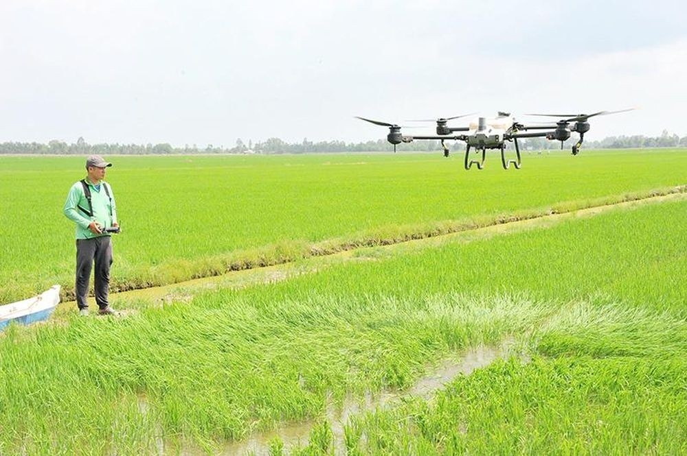 Các HTX ở Đồng Tháp ứng dụng chuyển đổi số, tăng hiệu quả trong sản xuất.