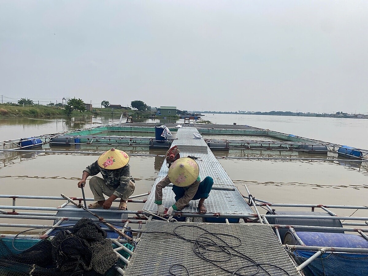 Người dân chủ động gia cố, bảo vệ hệ thống nuôi trồng thủy sản trước khi bão đổ bộ.