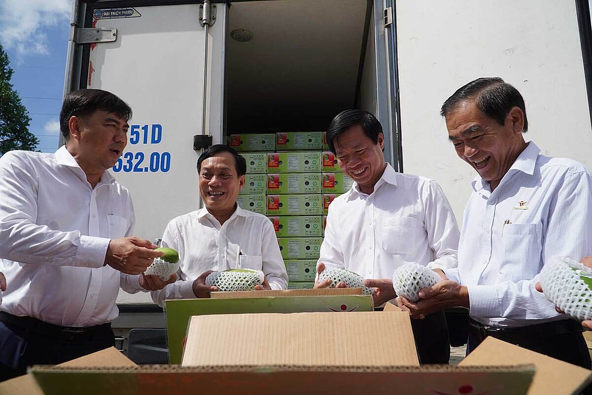 HTX Lộc Hưng là một trong những đơn vị kinh tế tập thể tiêu biểu xuất khẩu trái cây thành công ở Cần Thơ.