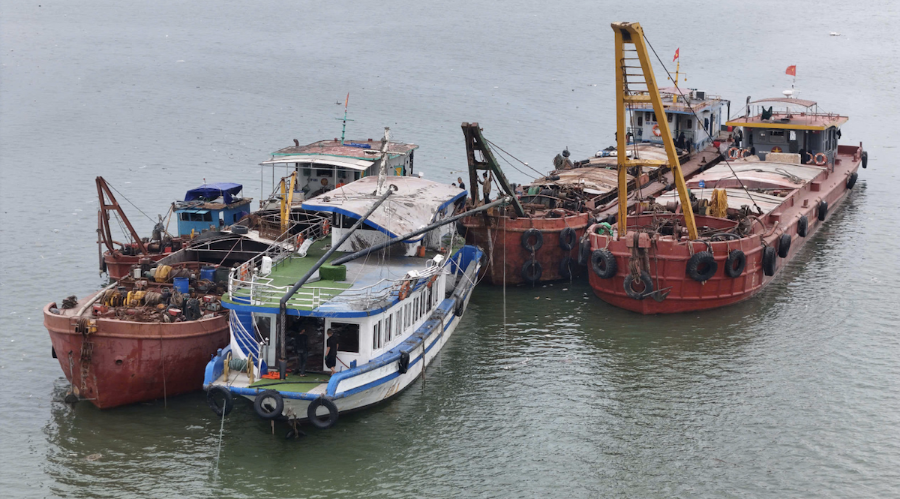 Tổng số tiền bảo hiểm liên quan đến vụ lật tàu Vịnh Xanh 58 dự kiến khoảng 14,27 tỷ đồng.