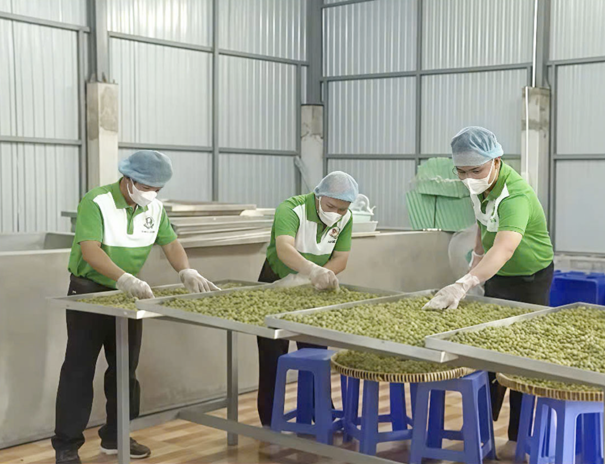 Sản xuất các sản phẩm tại HTX Nông nghiệp Công nghệ cao Bình Quý.