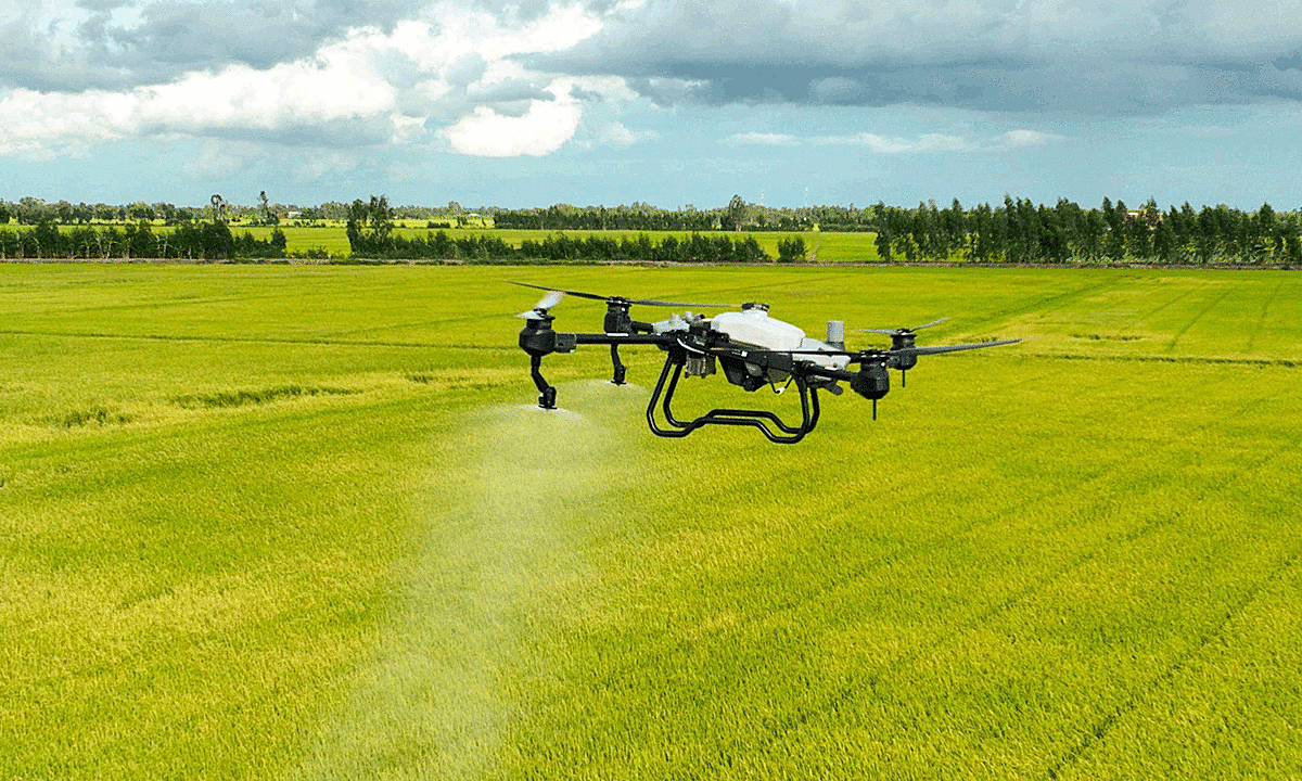 Sản xuất thông minh giúp người trồng lúa giảm chi phí, nâng cao năng suất và thu nhập.