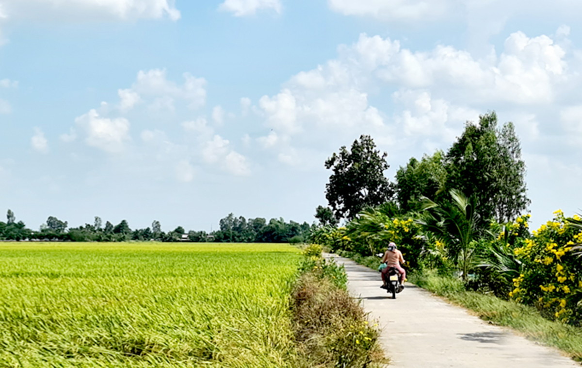 Thành công trong tái cơ cấu nông nghiệp là nền tảng trong xây dựng nông thôn mới ở Đồng Tháp.