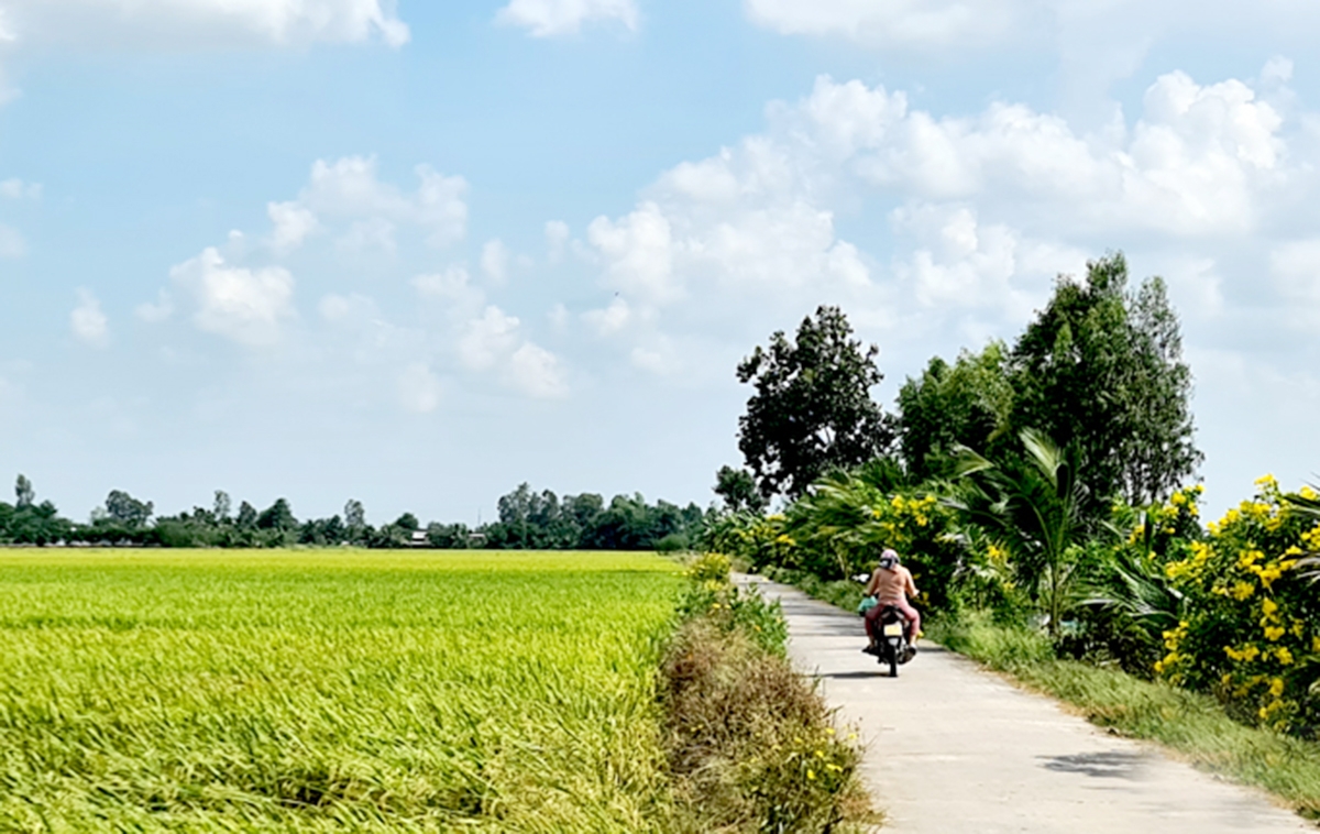 Thành công trong tái cơ cấu nông nghiệp là nền tảng trong xây dựng nông thôn mới ở Đồng Tháp.