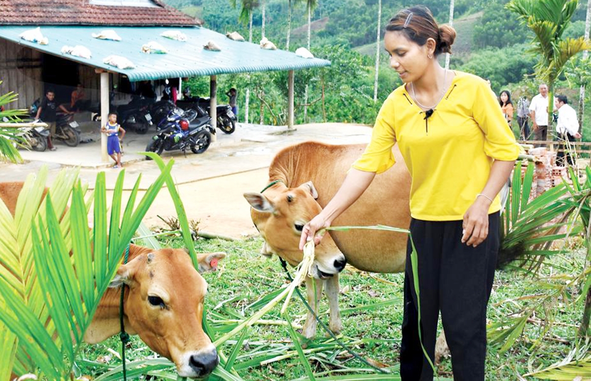 Diện mạo nông thôn mới trên địa bàn các xã vùng cao tỉnh Quảng Ngãi ngày càng khởi sắc &lpar;Ảnh: BQN&rpar;.