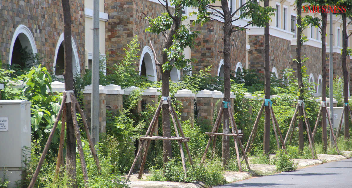 Cỏ mọc kín lối vào biệt thự.