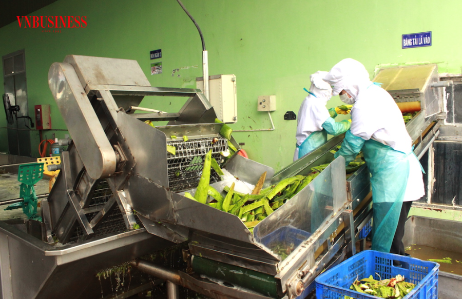 Để chuyển đổi sản xuất xanh không nằm“trên giấy” đang cần các DN Việt hành động nhất quán và khép kín vòng tuần hoàn.