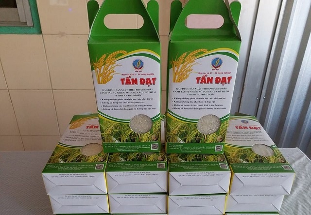 Mỗi tháng, HTX Sản xuất- Dịch vụ nông nghiệp Tấn Đạt cung ứng cho thị trường 15-20 tấn sản phẩm.