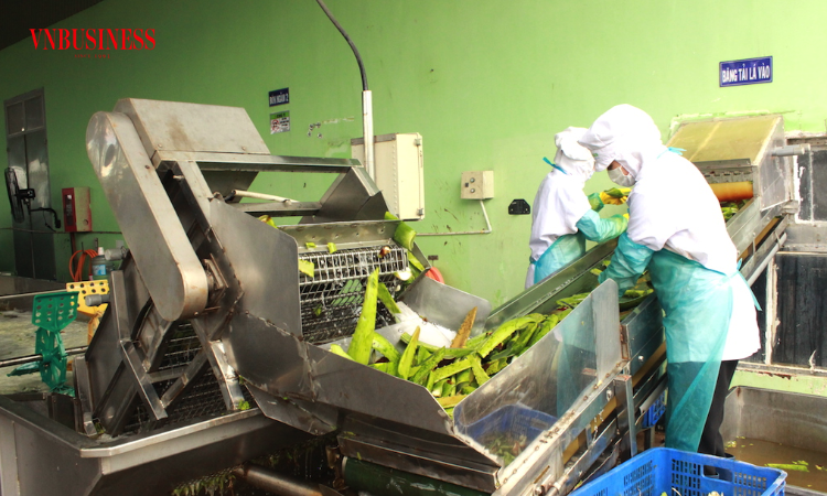 Làm gì để giải pháp chuyển đổi xanh trong doanh nghiệp không nằm ‘trên giấy’?