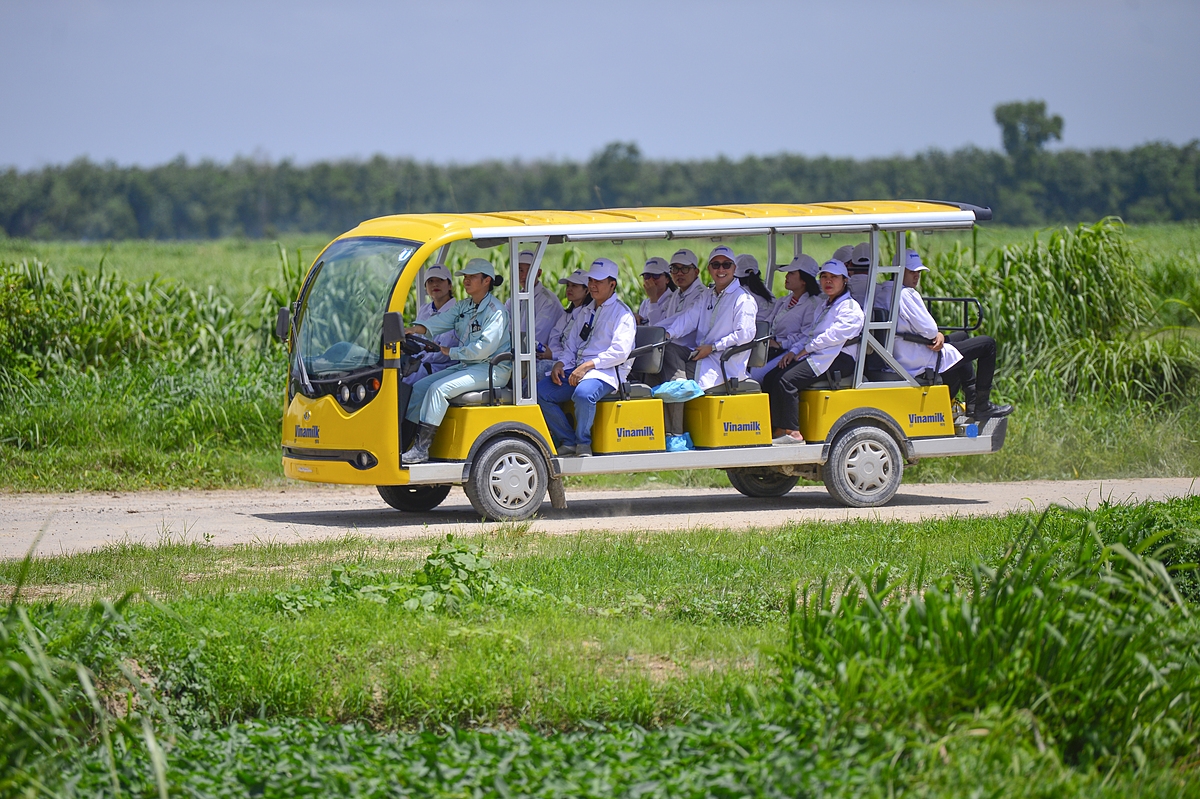 Những chiếc xe điện chở đến các khu vực chăn nuôi, trồng trọt, xử lý chất thải…