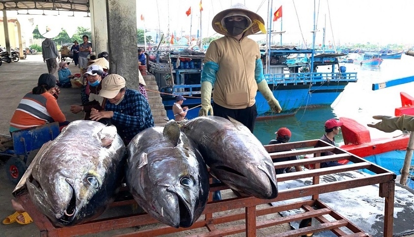 Thủ tướng giao Bộ Nông nghiệp và Môi trường chủ trì, phối hợp các cơ quan liên quan tháo gỡ khó khăn cho sản xuất, tiêu thụ và xuất khẩu nông, lâm, thủy sản trước biến động thương mại toàn cầu.
