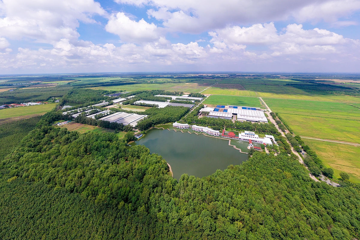 Cánh đồng cỏ Mombasa hút tầm mắt rộng 500 ha đất đai màu mỡ, đạt chuẩn Organic Châu Âu. Ảnh: Vi Nam.