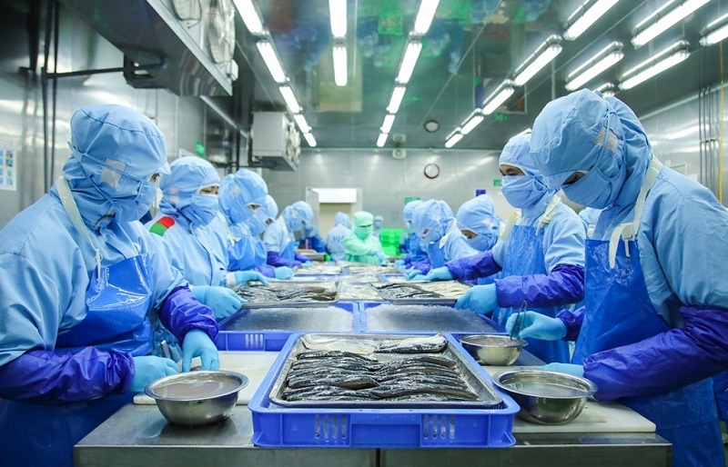 DN thủy sản nỗ lực tìm giải pháp gỡ khó, như chế biến sâu, dạng sản phẩm và mở rộng kênh tiêu thụ.