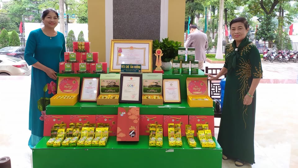 HTX đang là đòn bẩy giúp thương hiệu chè của địa phương vươn xa.
