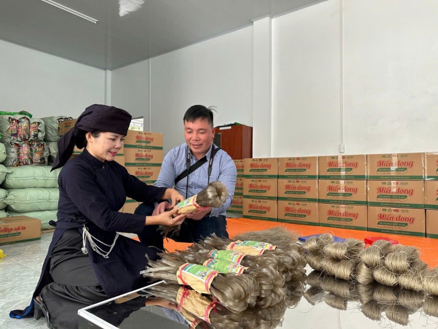 Miến dong của HTX Tài Hoan chinh phục được thị trường nước ngoài một phần là biết đưa giá trị văn hóa vào trong câu chuyện sản phẩm.