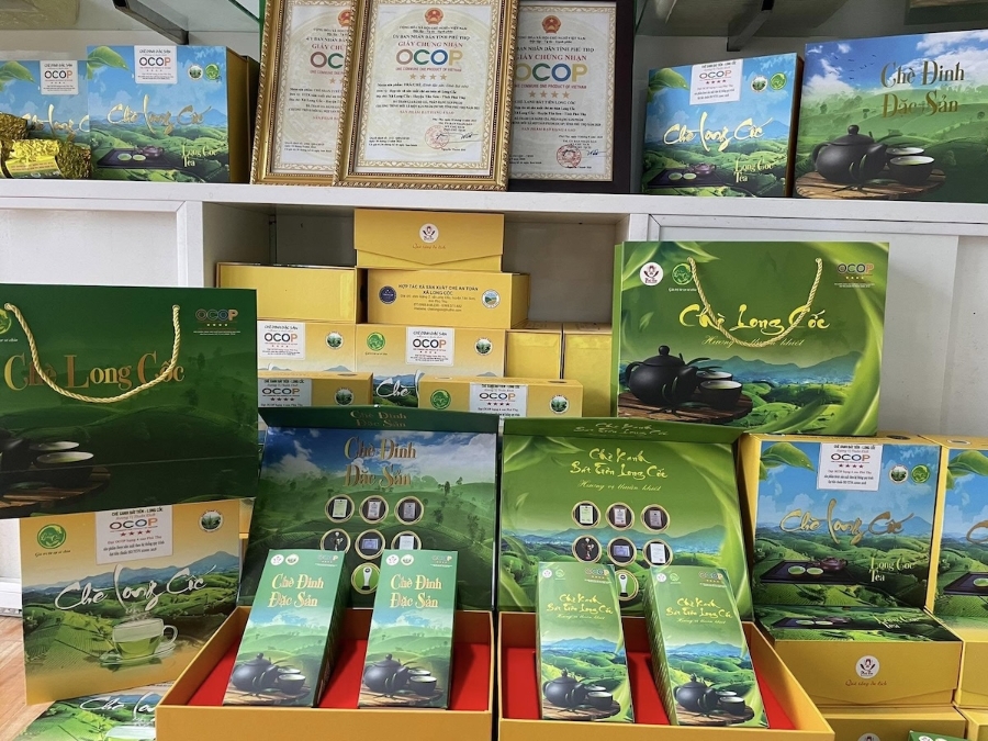 HTX có nhiều sản phẩm đạt OCOP 4 sao. &lpar;Ảnh: HXT sản xuất chè an toàn xã Long Cốc&rpar;