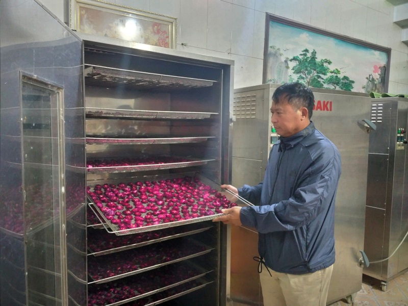 Thành viên HTX nông nghiệp và thủy sản Hưng Thịnh, xã Quang Hưng chế biến nông sản sau thu hoạch.