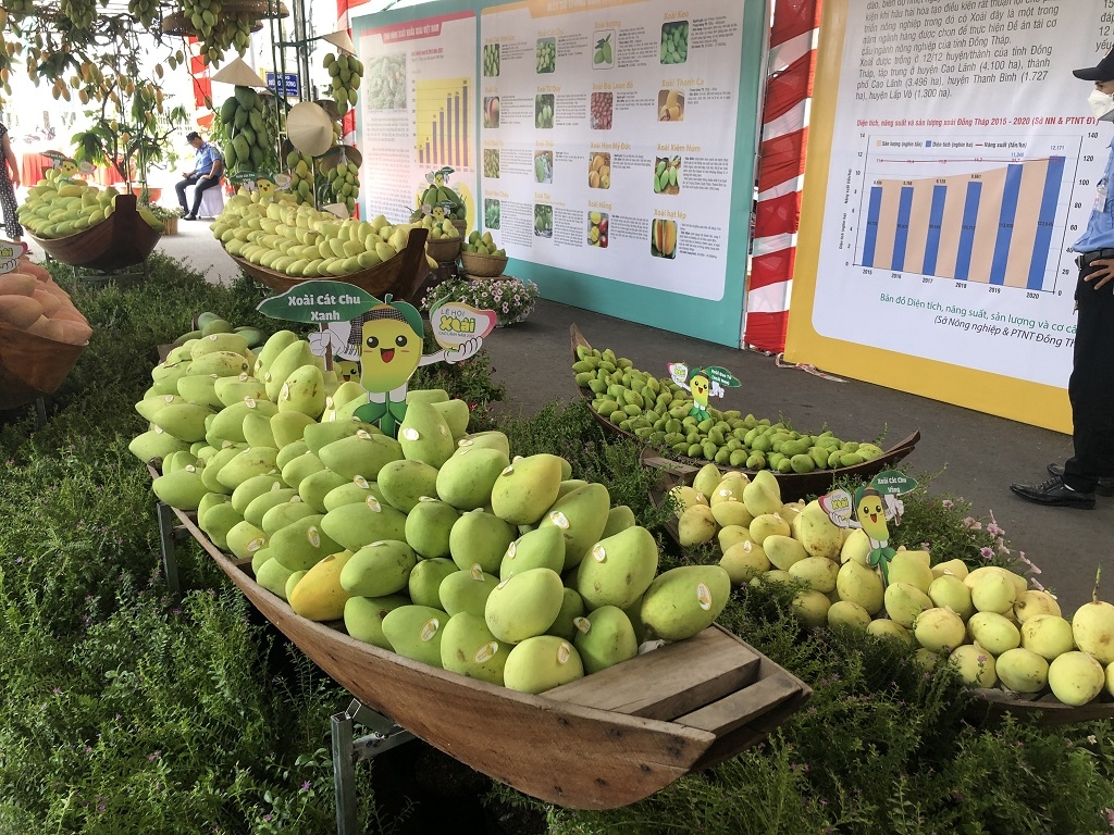 Sản phẩm xoài của HTX Dịch vụ nông nghiệp Tịnh Thới được xuất khẩu ra nước ngoài.