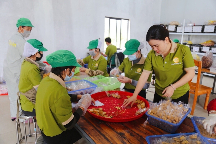 HTX Vạn An tạo việc làm thường xuyên cho 20 lao động và hàng chục lao động thời vụ.