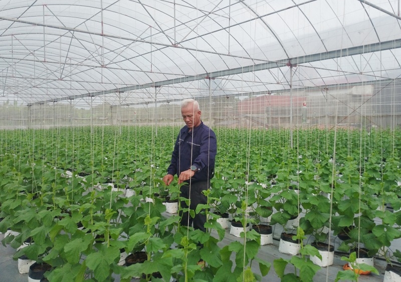 Ứng dụng khoa học kỹ thuật là chìa khóa thành công của nông dân, HTX tại Hưng Yên.