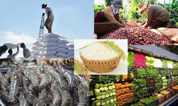 Gạo, cà phê, thủy sản của Việt Nam còn nhiều dư địa tại thị trường châu Phi