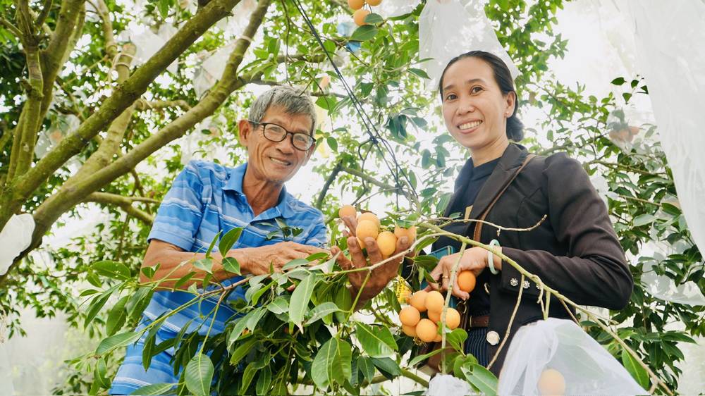 Doanh thu bình quân năm 2024 của HTX nông nghiệp đạt hơn 1,2 tỷ đồng/HTX, lãi bình quân từ 180-200 triệu đồng/HTX.