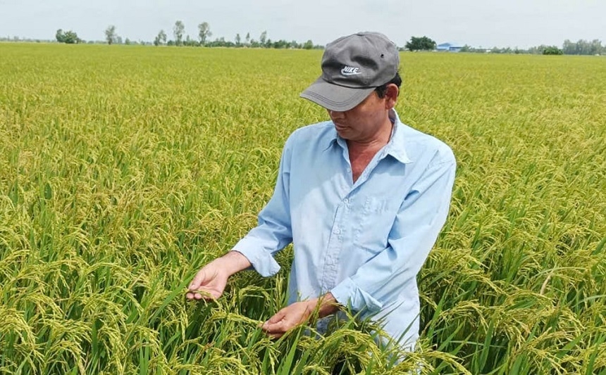 Theo thống kê, ngành trồng trọt chiếm tới gần 80% trong khoảng 116 triệu tấn carbon phát thải của lĩnh vực nông nghiệp.