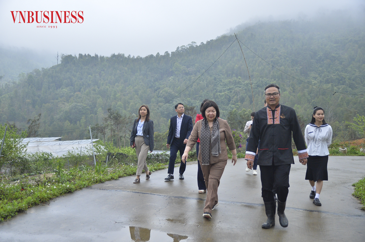 Chủ tịch Liên minh HTX Việt Nam Cao Xuân Thu Vân thăm và làm việc với HTX Hoa Bình Liêu.