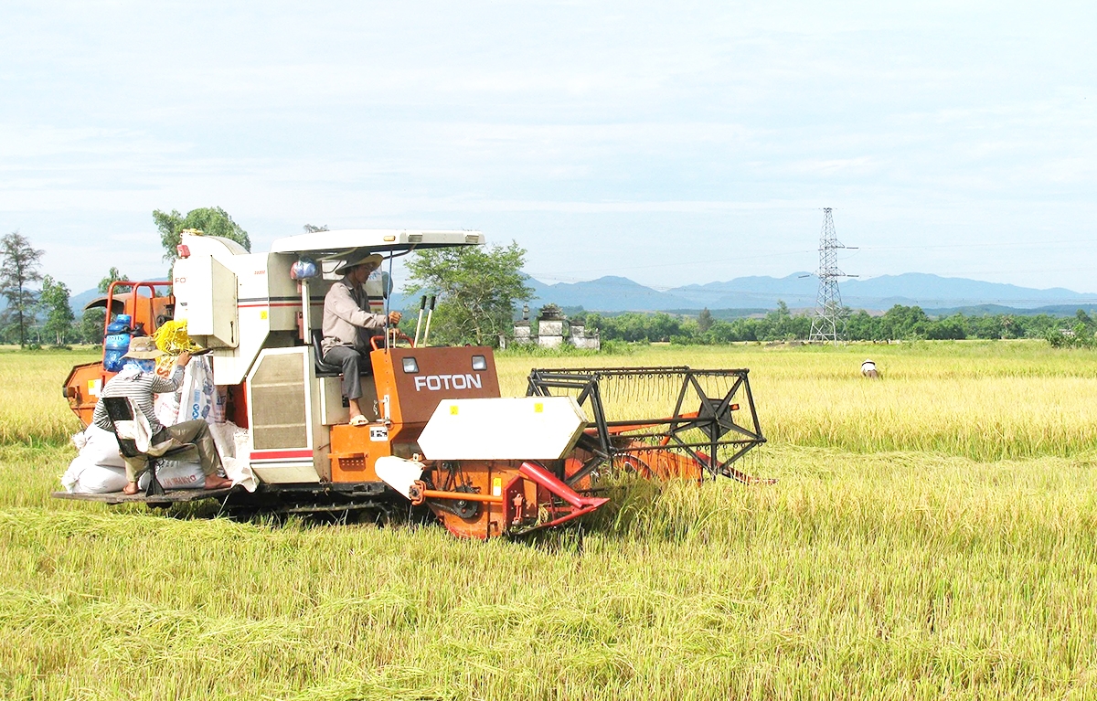 Nông nghiệp sạch, hiện đại là chìa khóa giúp nông dân, HTX ở Quảng Trị tăng hiệu quả kinh tế.