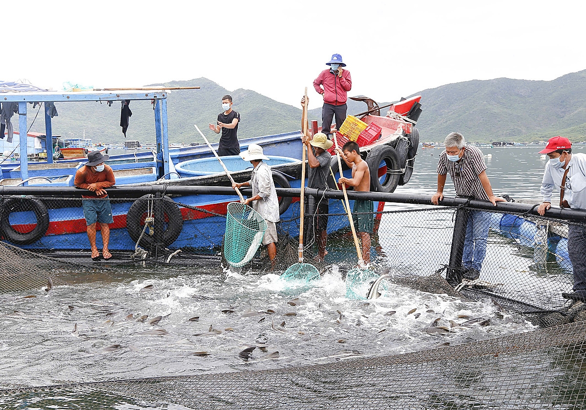Khánh Hòa có nhiều lợi thế trong phát triển kinh tế biển.
