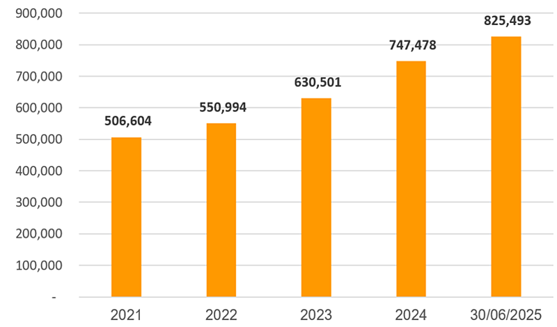 Tăng trưởng tổng tài sản của SHB qua các năm &lpar;đơn vị: tỷ đồng&rpar;.
