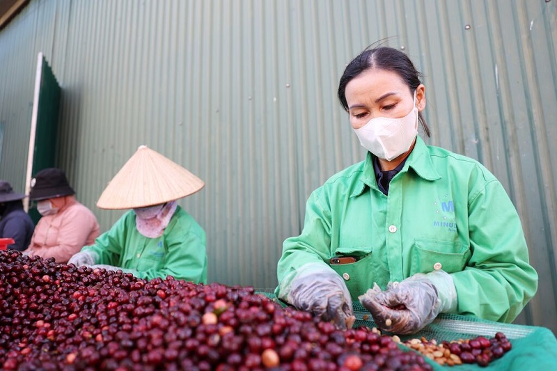 7 tháng, nhiều mặt hàng chủ lực ghi nhận tăng trưởng tích cực như cà phê xuất khẩu 1,1 triệu tấn, đạt 6 tỷ USD, tăng 7,6% về lượng và 65,1% về giá trị.
