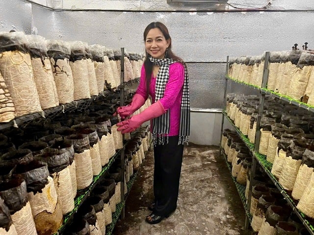 Các HTX luôn đồng hành, hỗ trợ bà con phát triển kinh tế, xóa đói, giảm nghèo.