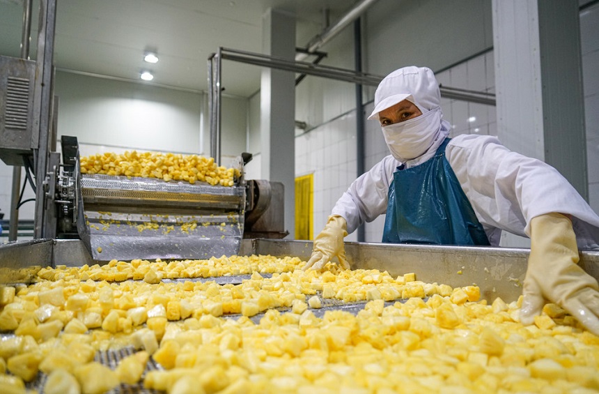 Các chuyên gia nhấn mạnh vai trò của liên kết bốn nhà - Nhà nước, nhà nông, nhà khoa học, doanh nghiệp - trong xây dựng các chuỗi giá trị bền vững với nông sản và trái cây tại địa phương.