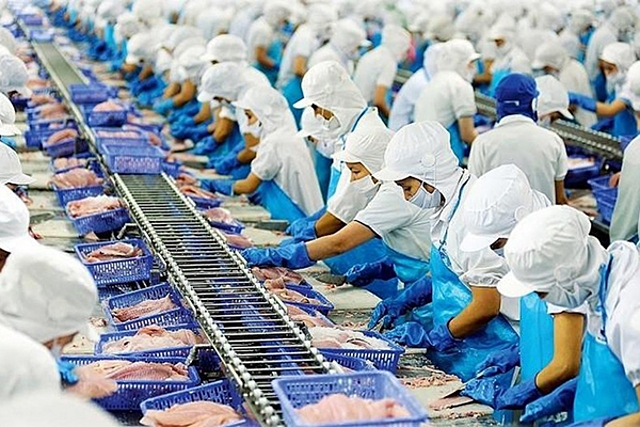 Cổ phiếu thủy sản bứt phá sau thời gian im ắng.