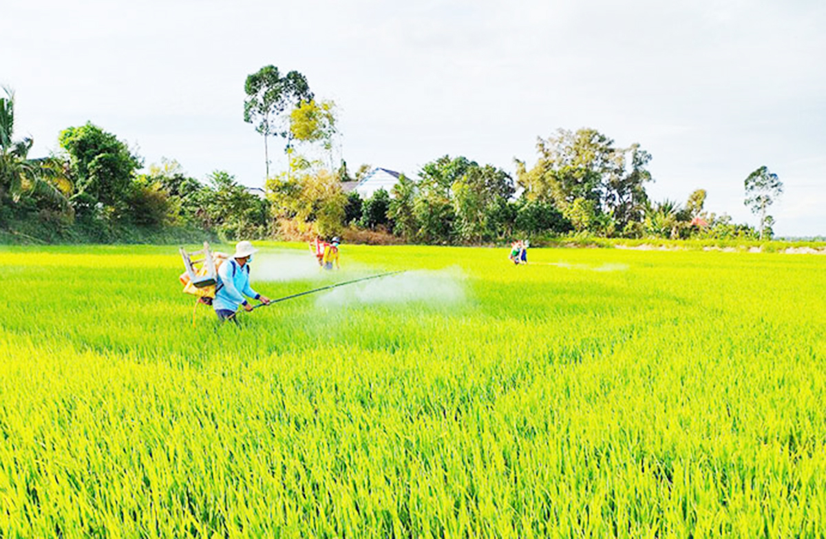 Thành công trong chuyển đổi nông nghiệp là động lực xây dựng nông thôn mới ở Tuyên Quang.